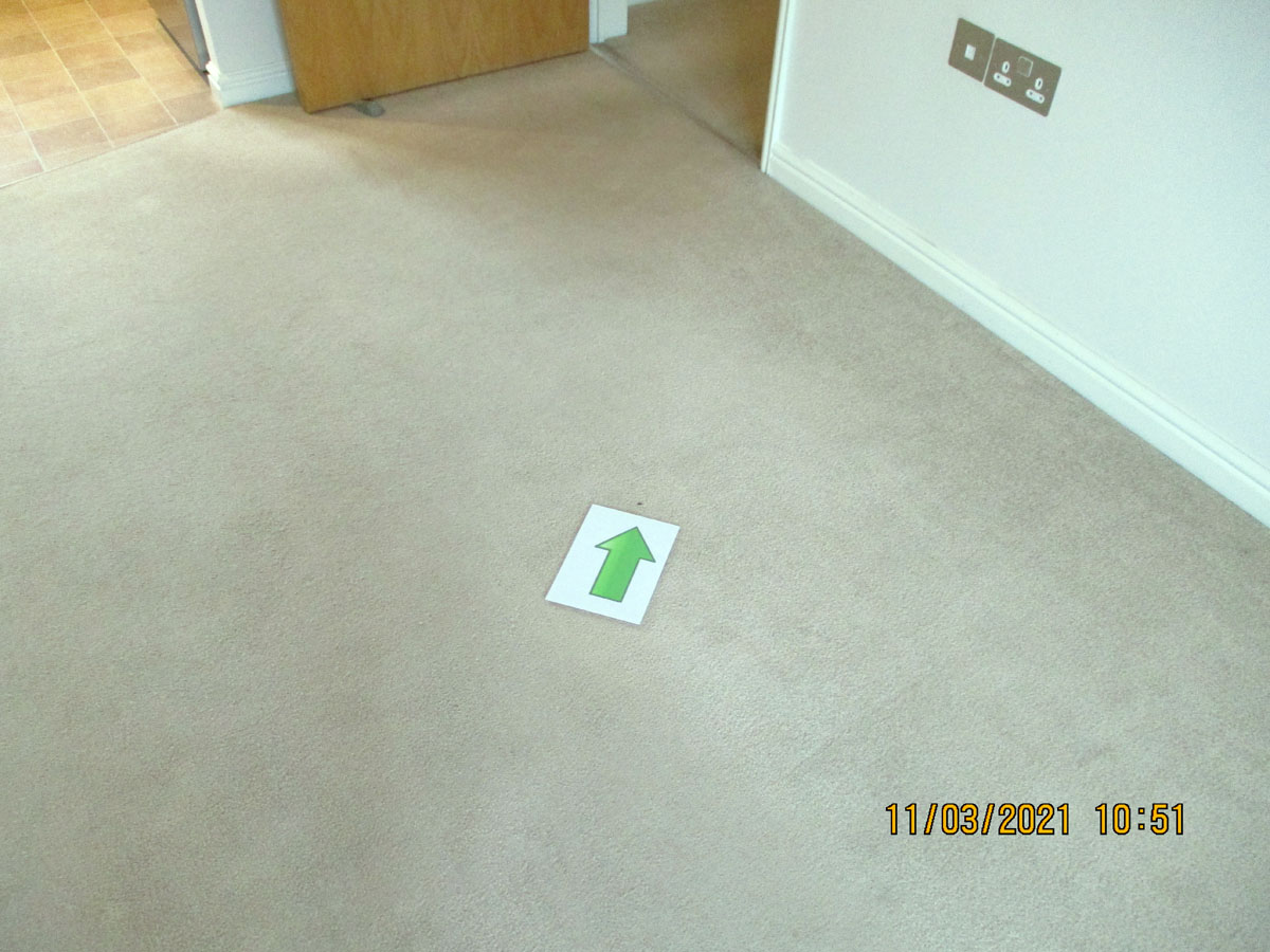 Burn on carpet referenced for inventory by Sheridan Inventory Services